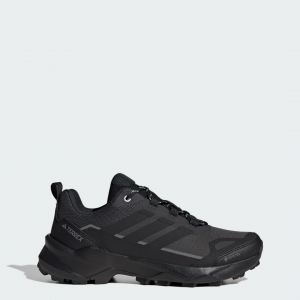 Adidas Terrex Skychaser AX5 GTX W Sneakers noir