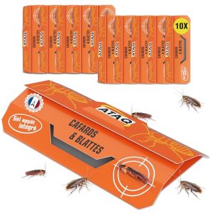 ATAQ – Pack de 10 pièges à Cafards – Piège Anti Cafards Adhésif avec Colle Haute Performance - Contre l’infestation des Cafards en Cuisine, Chambres, Cellier... Non Toxique