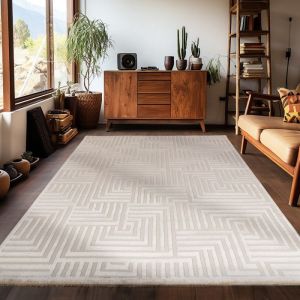 Carpetsale24 Tapis de salon 80x150 cm Beige uni tapis poil ras moderne et doux tapis décoratif pour chambre et salle à manger