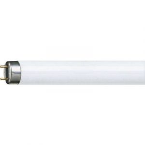 Image de Philips lighting 927922284066 Tube fluor