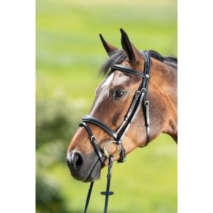 Bridons équitation HFI Technical
