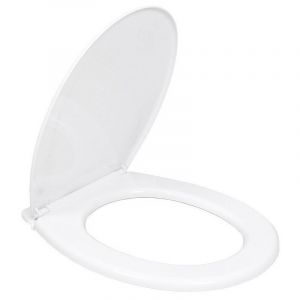 Image de Abattant Wc Basic Blanc 600gr Avec Vis Edm