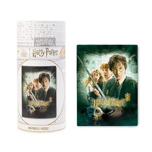 Grupo erik Puzzle 500 Pièces Harry Potter et la Chambre des Secrets | Puzzle Adulte et Enfant, Affiche Harry Potter