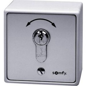 Somfy 1871148 interrupteur &agrave; cl&eacute; pour motorisation de portail encastr&eacute;, montage apparent (en saillie)