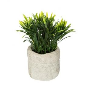 AC-D&eacute;co Plante verte artificielle avec son sac en ciment - H 14 cm - Mod&egrave;le al&eacute;atoire