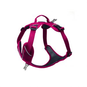 Image de Kyflie Harnais Momentum Taille 4 Circonf&eacute;rence cage thoracique 65-82cm Rose