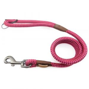 Laisse IMAO Hyde park &oslash; 11 mm x 1,2 m&egrave;tre Fuchsia pour chien zolux ZO 466776FUS