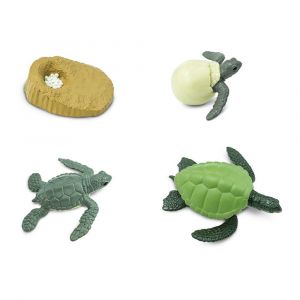 No Name Safari-662316 Figurine Cycle de Vie d'une Tortue de mer Verte, 662316