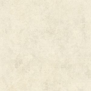 A.S. Creation Papier peint intiss&eacute; 374252 New Walls - Papier peint uni Beige/Cr&egrave;me Argent - 10,05 x 0,53 m