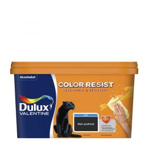 Dulux Valentine Peinture bicouche intérieure Color Resist Murs et Boiseries Mat Noir Profond 2,5L