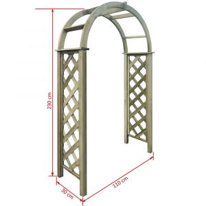 VidaXL Arche avec treillis Bois de pin vert imprégné | Brun