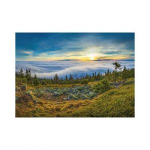 Dino Puzzle 1000 pièces : VUE DEPUIS GESTURED