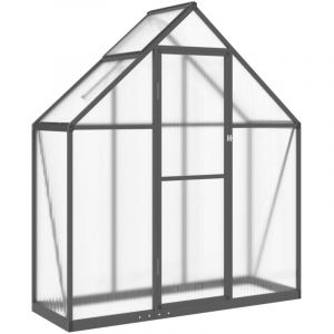 VidaXL Serre avec Cadre de Base Anthracite 169x58x195 cm Aluminium, Serre en Polycarbonate, Serre de Bricolage, abri de Serre, Serre portative
