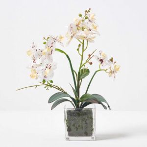 Orchid&eacute;e artificielle blanche en pot en verre 42 cm - Homescapes
