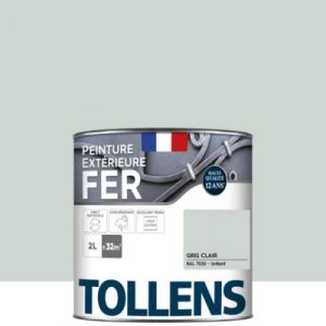 Tollens Peinture extérieure fer brillant gris clair 2L