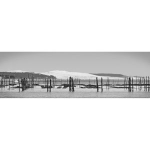 Ceanothe Tableau sur toile Arcachon noir et blanc 45x135 cm