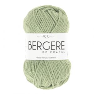 Pelote Image - Bergère De France Lichen