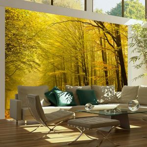 Artgeist Papier peint - Route dans la forêt d'automne 250x193