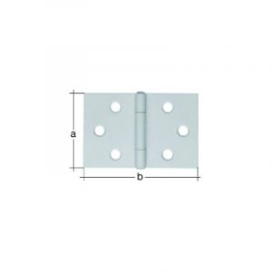 Alberts 361280 Charnière | large | acier inoxydable | 60 x 90 mm