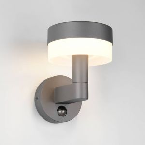 Lampe de façade extérieure lampe de jardin détecteur de mouvement anthracite LED H 22,5 cm