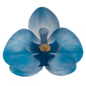 Dekora Fleurs Comestibles pour Gâteau, 10 Gaufrettes Orchidées bleues 8.5 x 7.5 cm, sans sucre, sans gluten, sans lactose, Décoration Gâteau pour Anniversaire, Mariage, Baptême