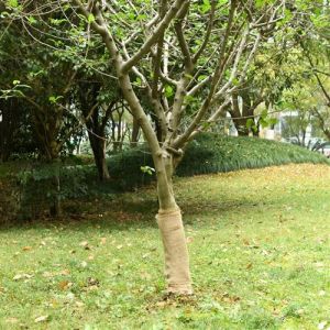 VidaXL Rouleau de jute 0,5x10 m 100 % jute 200 g/m²