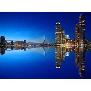Grafika Puzzle Rotterdam