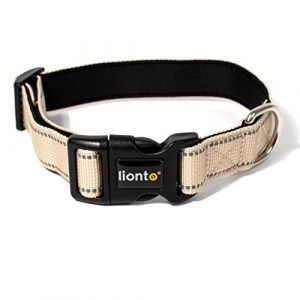Lionto Collier pour Chien rembourré en Nylon réfléchissant imperméable réglable, Taille S, Beige