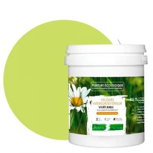 Vert Anis-Peinture naturelle écologique intérieur extérieur aspect velours Natura - 1L