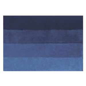 Image de Spirella Tapis de bain Four (60 x 90 cm)