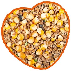 Grains au maïs complet pour poules Duvoplus