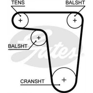 Gates Courroie de distribution 5618XS