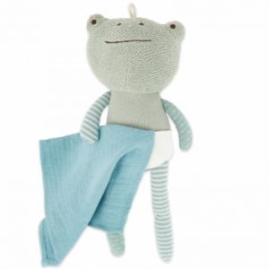 Bieco Peluche Grenouille avec Doudou | 30 cm | Peluche Grenouille | Doudou Bebe garçon Doudou bébé Fille & garçon | Peluche bébé Grenouille en Peluche pour bébé | Doudou pour bébé