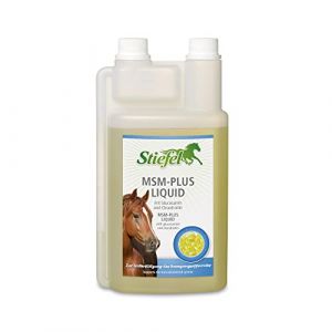 Stiefel Sirop cheval MSM