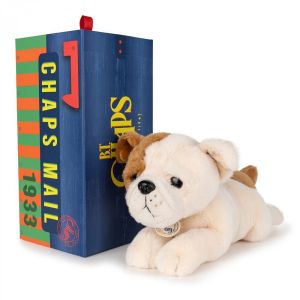 Bertha le bulldog americain