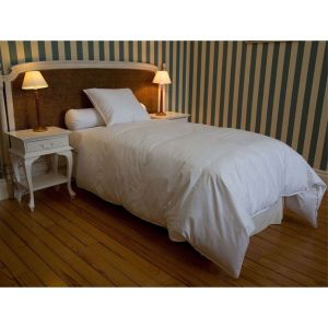 Castex Couette éco canard 30% duvet (200 x 200 cm)