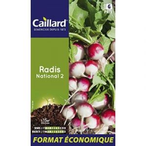 caillard Pfcd15112 Graines De Radis National 2