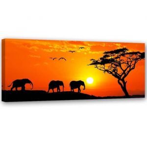 Tableau sur toile, Panorama de la savane en Afrique (P-1517) 90x30 cm