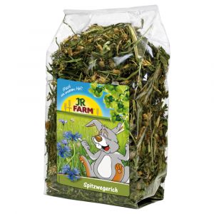 JR Farm Plantain 500 g