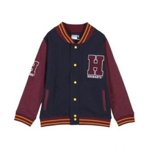 HARRY POTTER - Sweat Zip - Coton - Enfants - 7ans