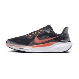 Nike Chaussures de running homme pegasus 41