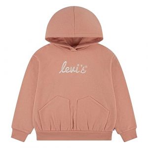Hoodie droit molletonn&eacute; signature