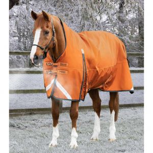 Couverture d'extérieur pour cheval Premier Equine Buster Hardy 400 g