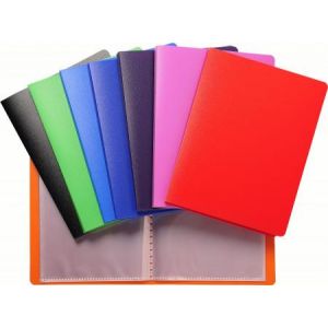 Image de Exacompta 88209E - Protège-documents Standard 11x15 40 vues, polypro coloris assortis 8 teintes