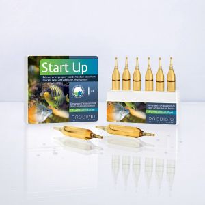 Image de Prodibio Start Up 6 ampoules