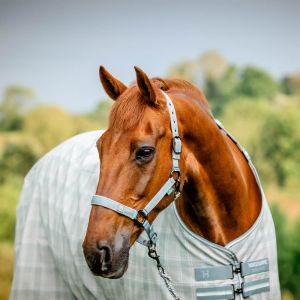 Amigo Ensemble licol et longe Newmarket