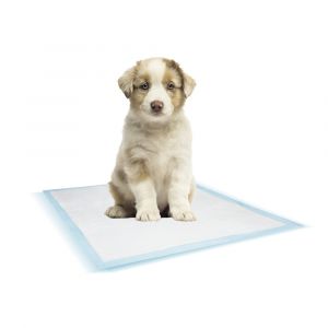Tapis d'entraînement pour chien Nobby Pet (x10)