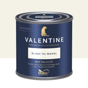 Dulux Valentine Peinture murs&boiseries Valentine Mat Velouté Blanc Taj Mahal 0,125L