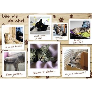 Image de Nathan Puzzle Une vie de chat 1500 pièces