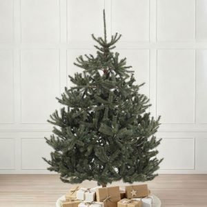 Salcar Sapin de Noël artificiel - Sapin Nordmann ultra-réaliste, 180 cm de haut, 1118 branches, très dense, sans espaces vides